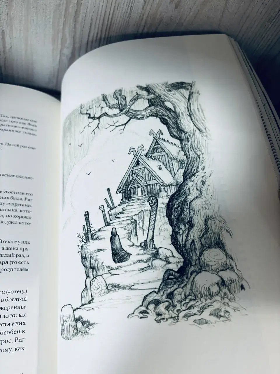 Северные боги — изображение 5