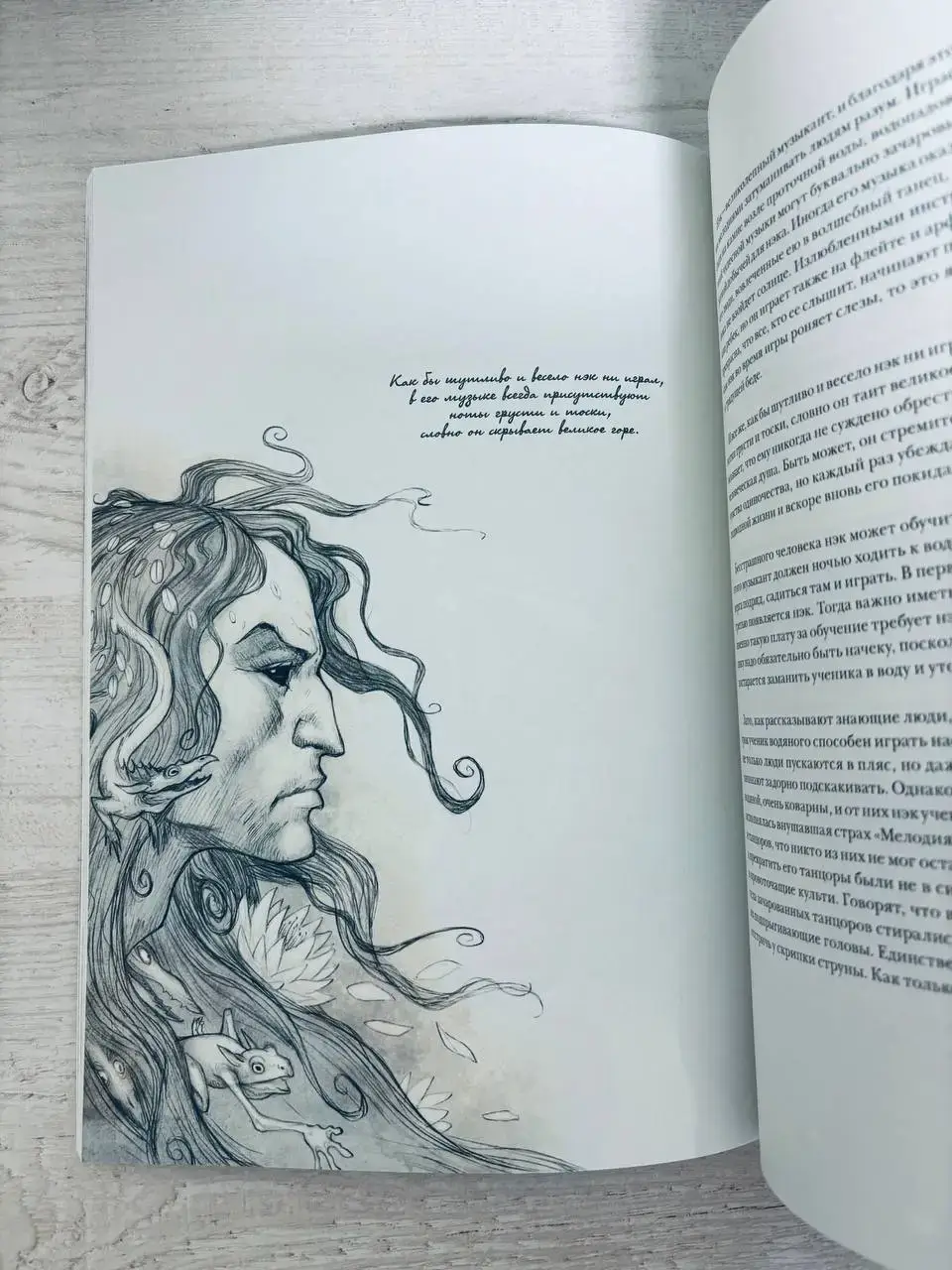 Волшебные существа Севера — изображение 2