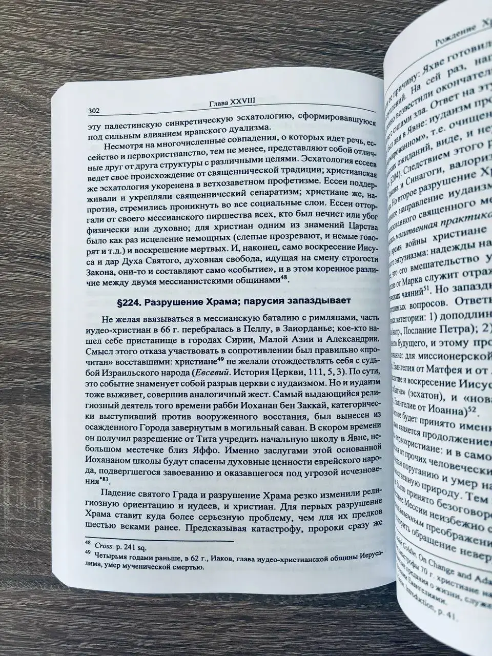 История веры и религиозных идей. От Гаутамы Будды до триумфа христианства. Том 2 — изображение 2