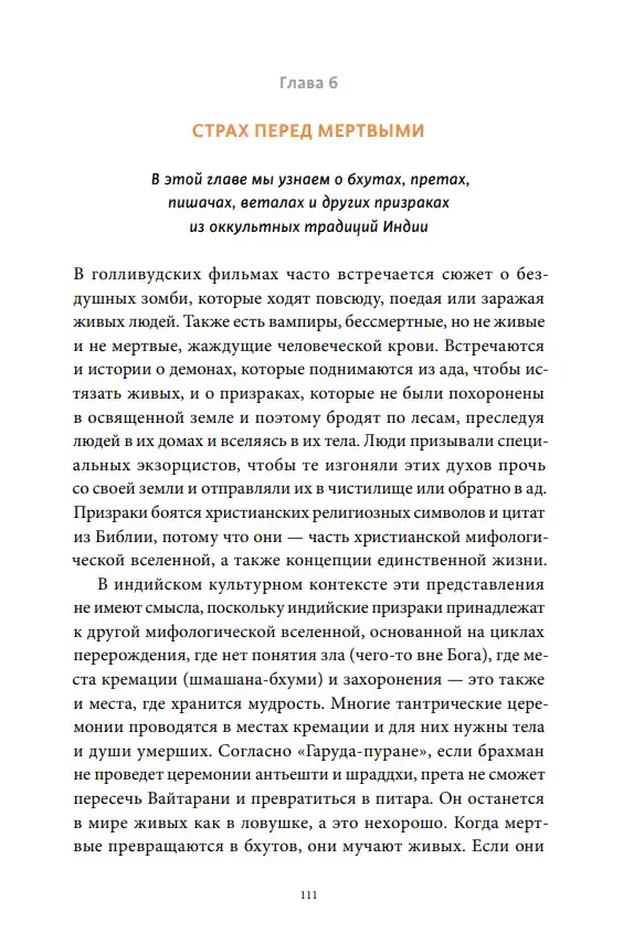 Индийская «Книга мертвых». Исследование мрачного ада, лучезарного рая и путей в страны богов и умерших — изображение 4