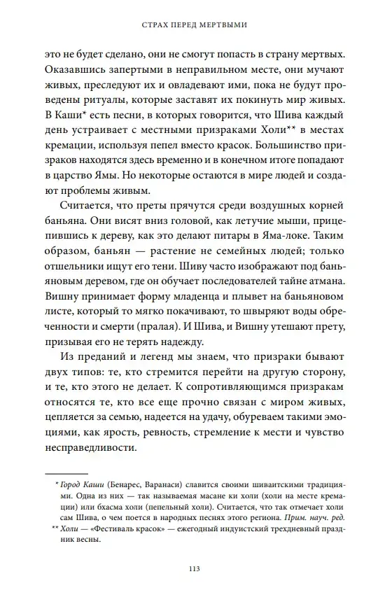 Индийская «Книга мертвых». Исследование мрачного ада, лучезарного рая и путей в страны богов и умерших — изображение 6