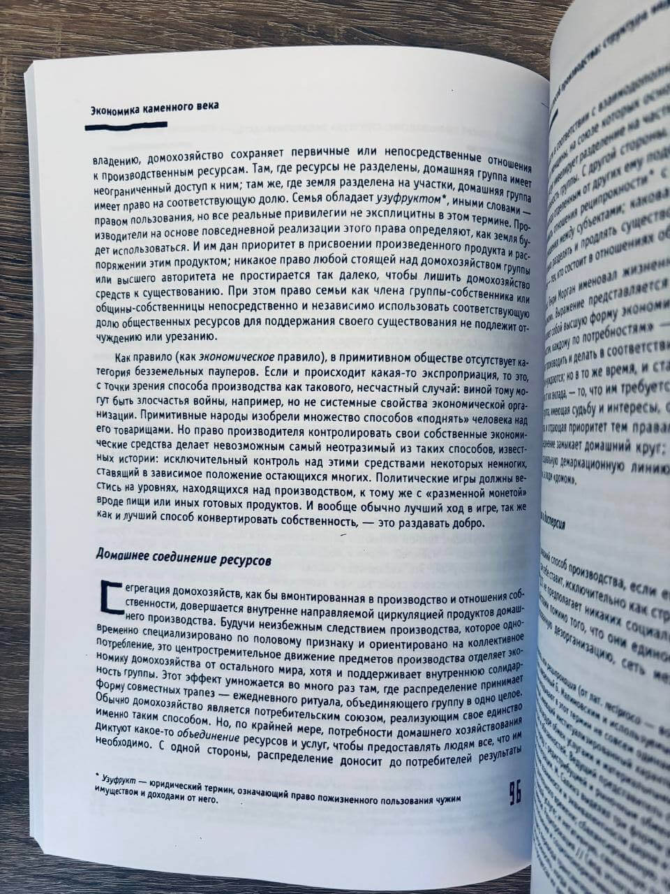 Экономика каменного века — изображение 6