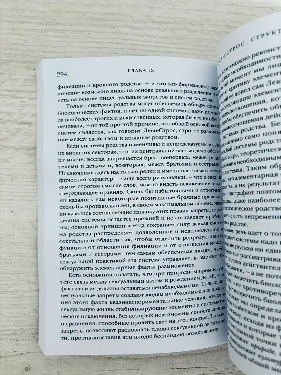 Насилие и священное — изображение 6