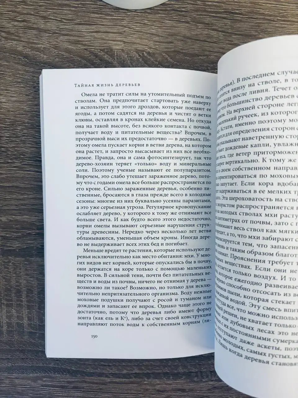 Тайная жизнь деревьев. Что они чувствуют, как они общаются - открытие сокровенного мира — изображение 2