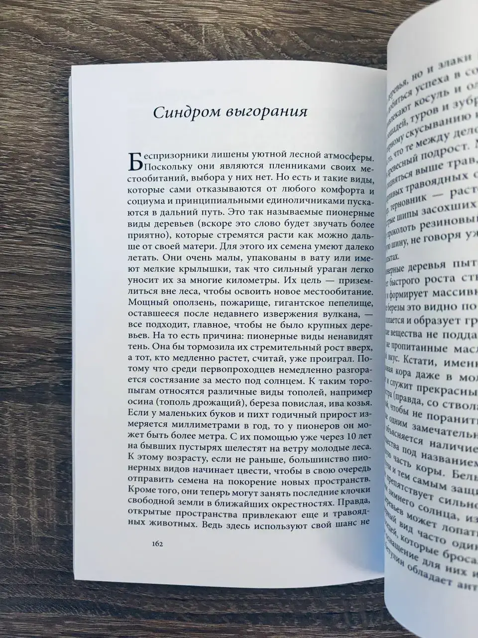 Тайная жизнь деревьев. Что они чувствуют, как они общаются - открытие сокровенного мира — изображение 4
