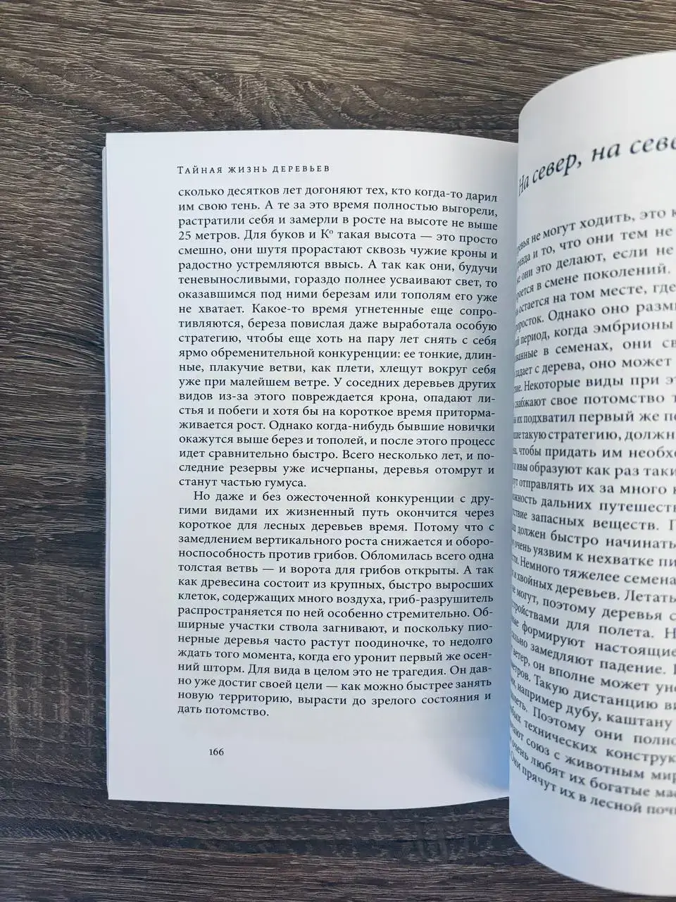 Тайная жизнь деревьев. Что они чувствуют, как они общаются - открытие сокровенного мира — изображение 5