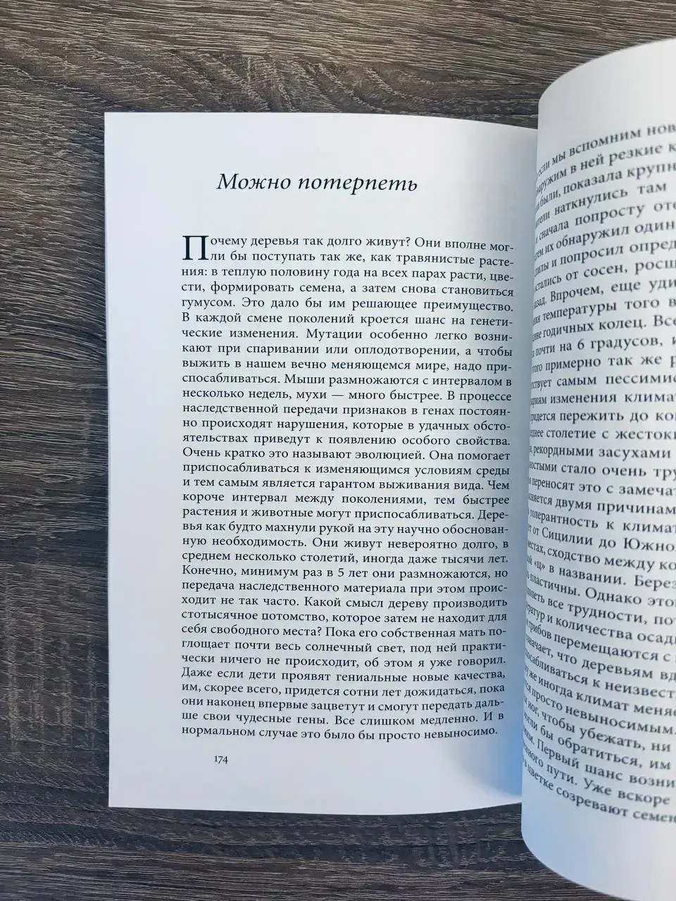 Тайная жизнь деревьев. Что они чувствуют, как они общаются - открытие сокровенного мира — изображение 6