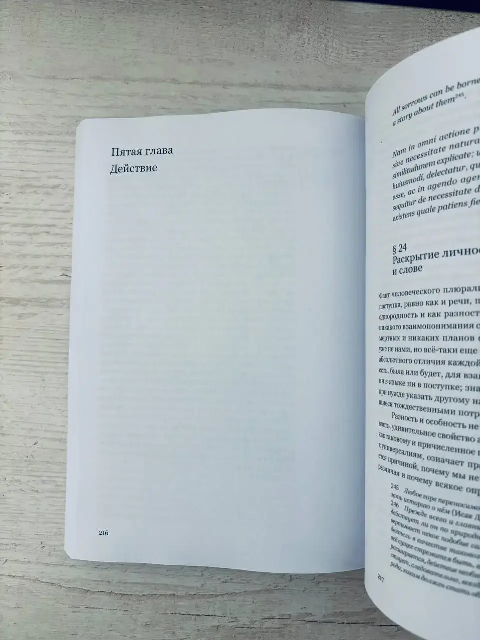 Vita Activa, или О деятельной жизни — изображение 2