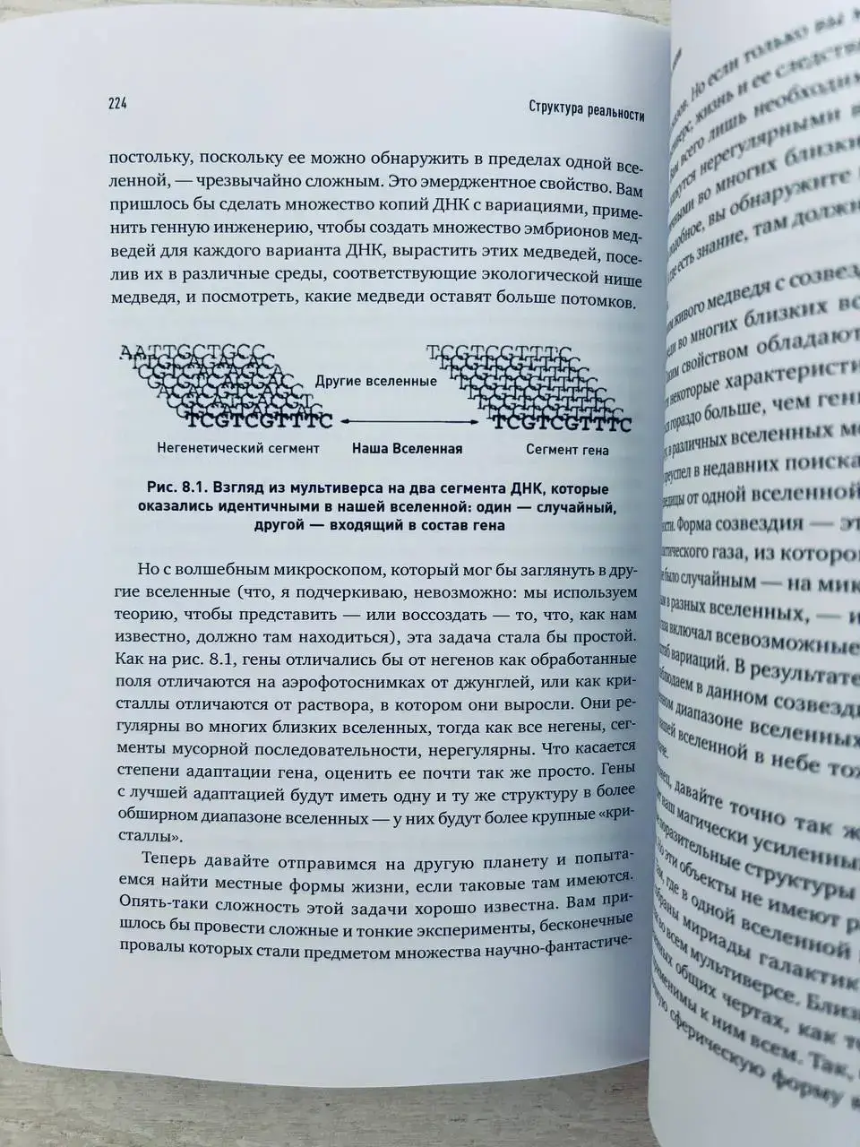 Структура реальности. Наука параллельных вселенных — изображение 3