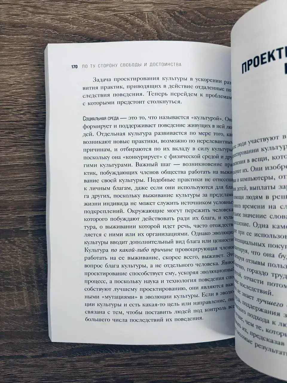 По ту сторону свободы и достоинства — изображение 4