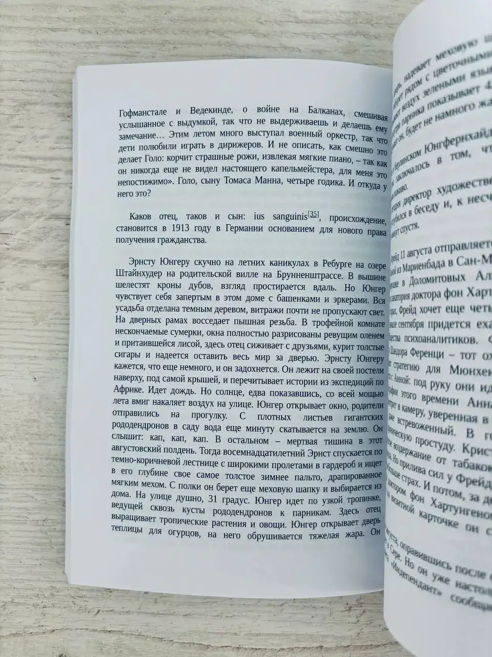 1913. Лето целого века — изображение 3