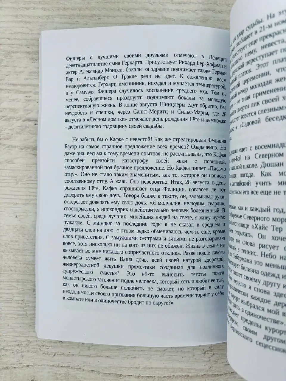 1913. Лето целого века — изображение 4