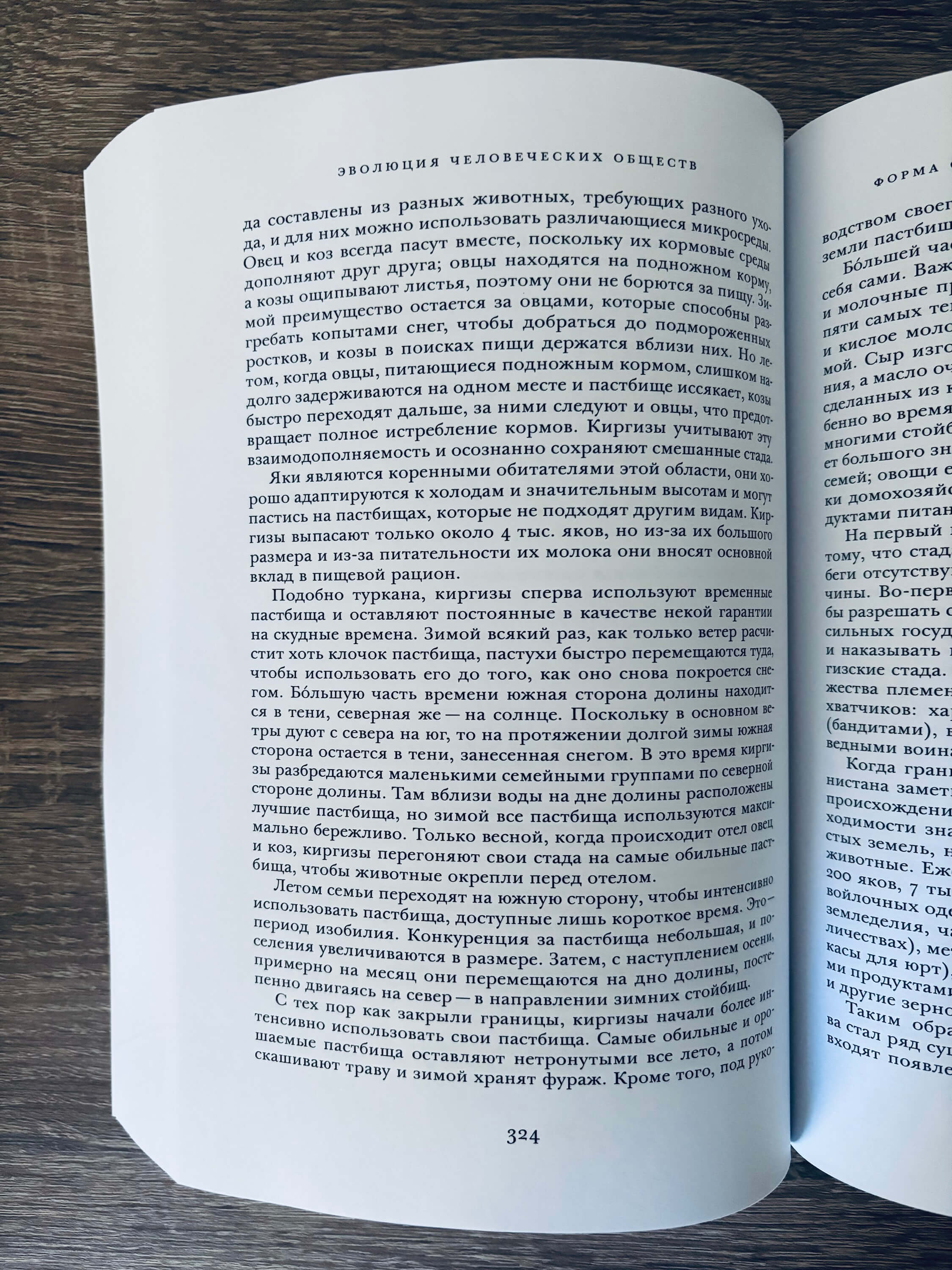 Эволюция человеческих обществ. От добывающей общины к аграрному государству — изображение 6