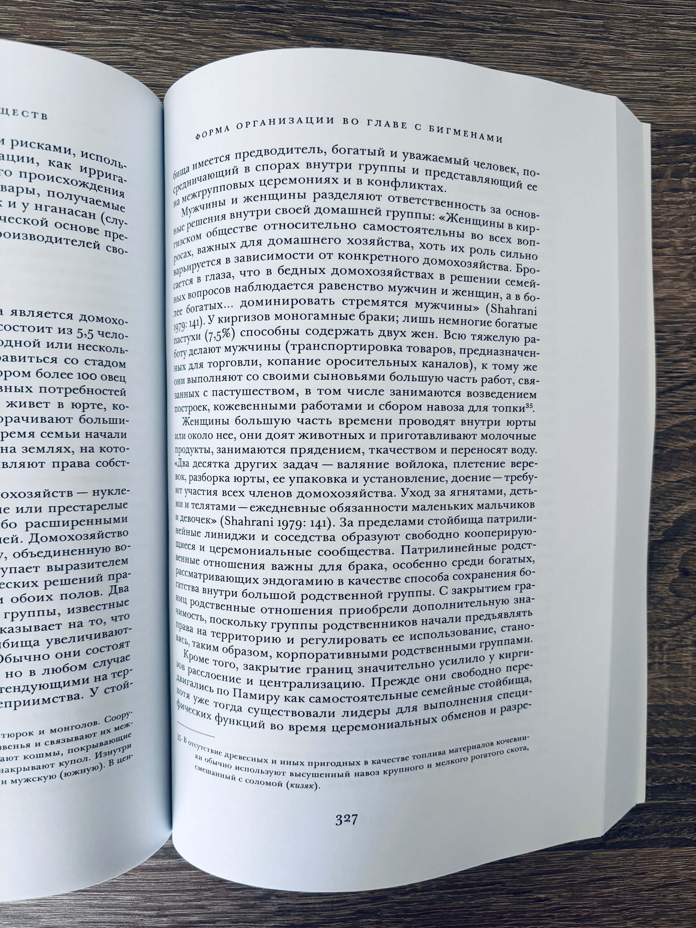 Эволюция человеческих обществ. От добывающей общины к аграрному государству — изображение 9
