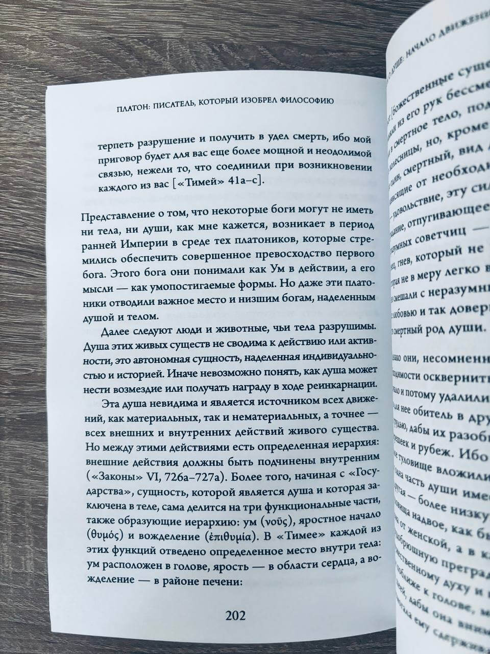 Платон — изображение 5