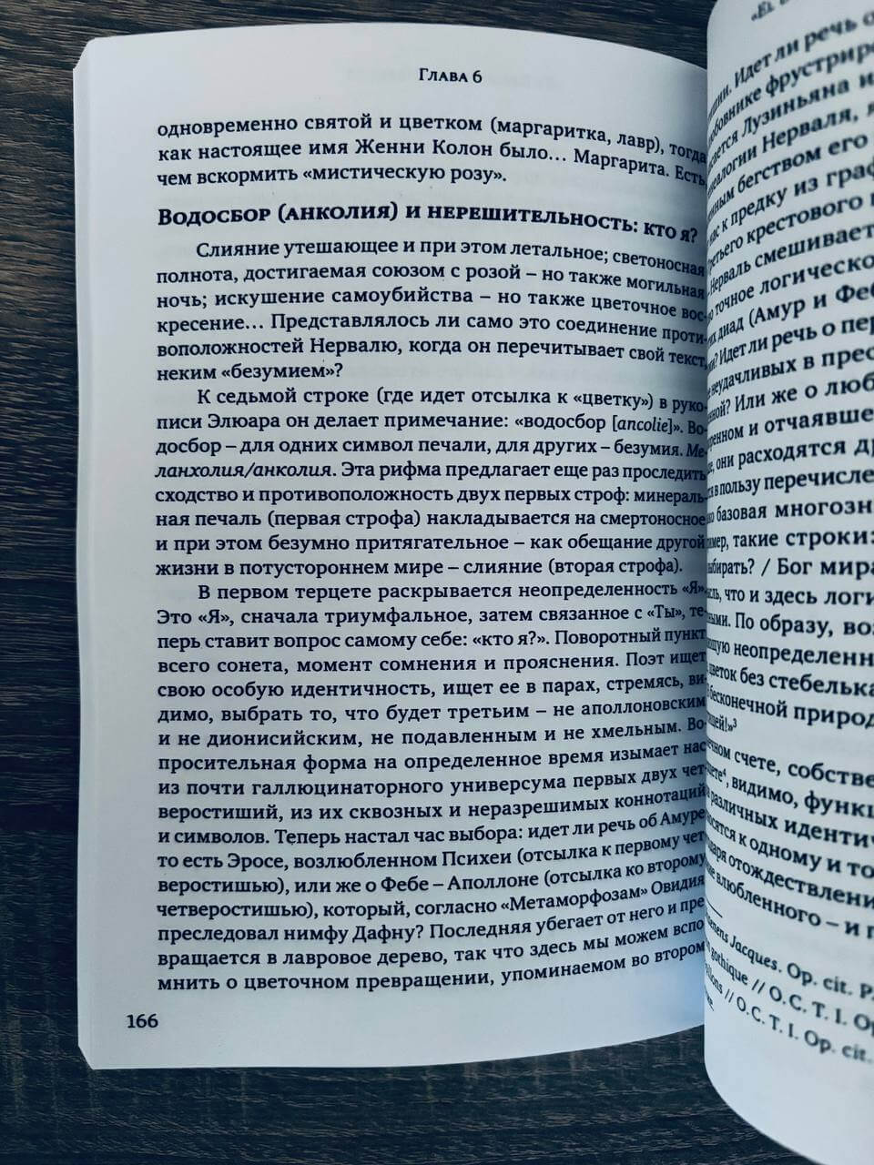 Черное солнце. Депрессия и меланхолия — изображение 2