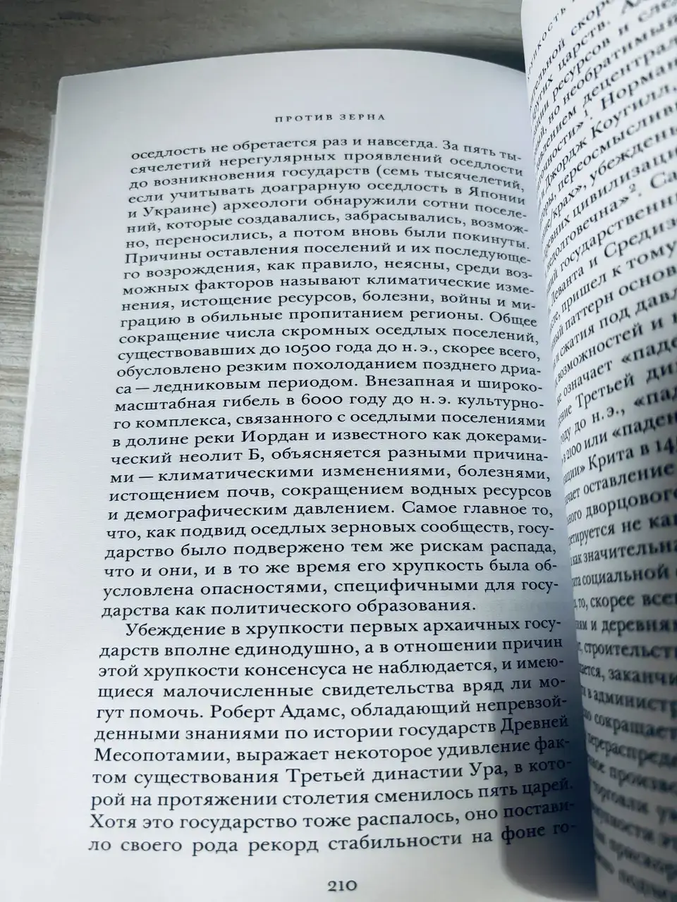 Против зерна — изображение 3