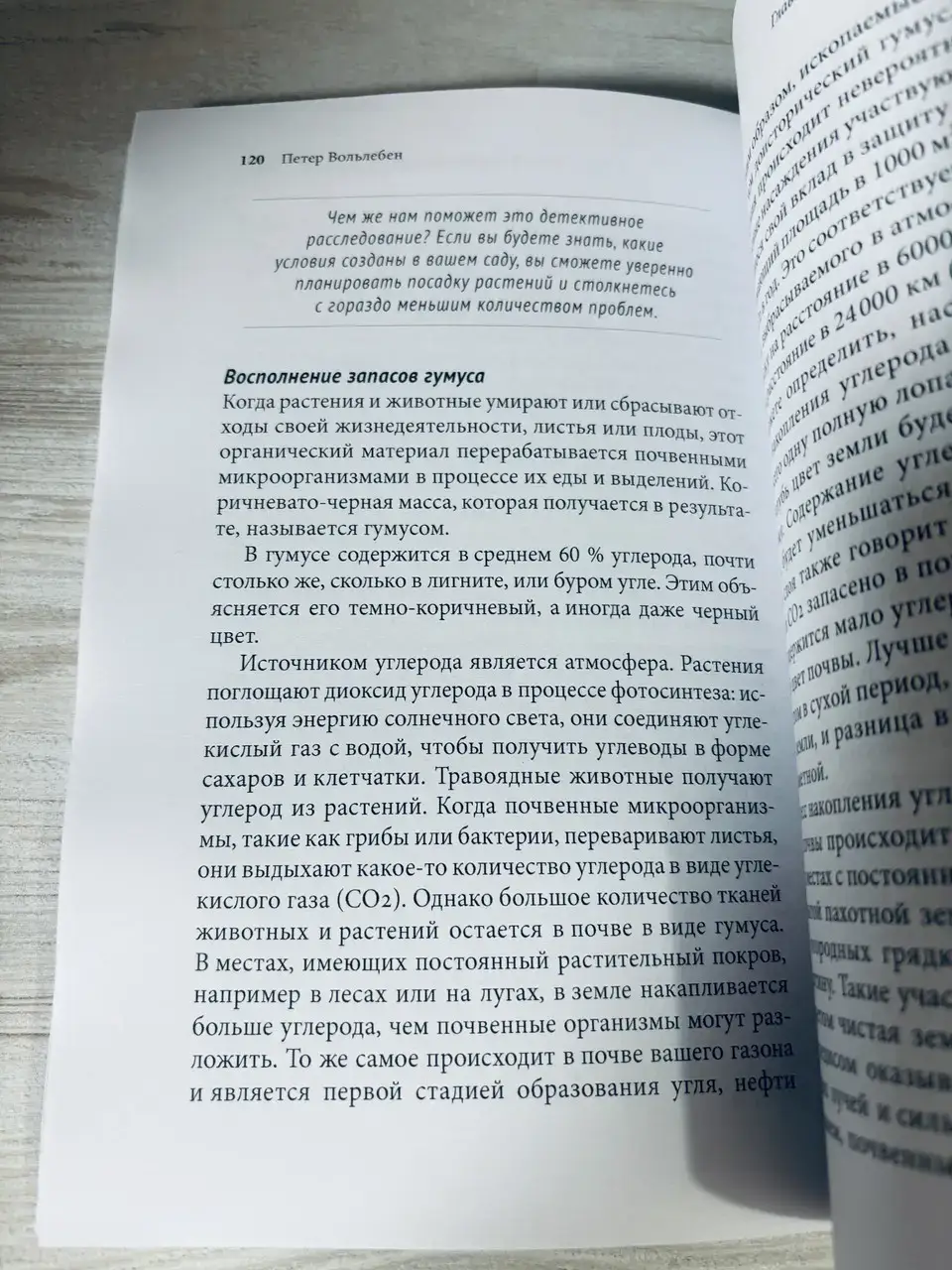 Тайные знаки природы — изображение 3