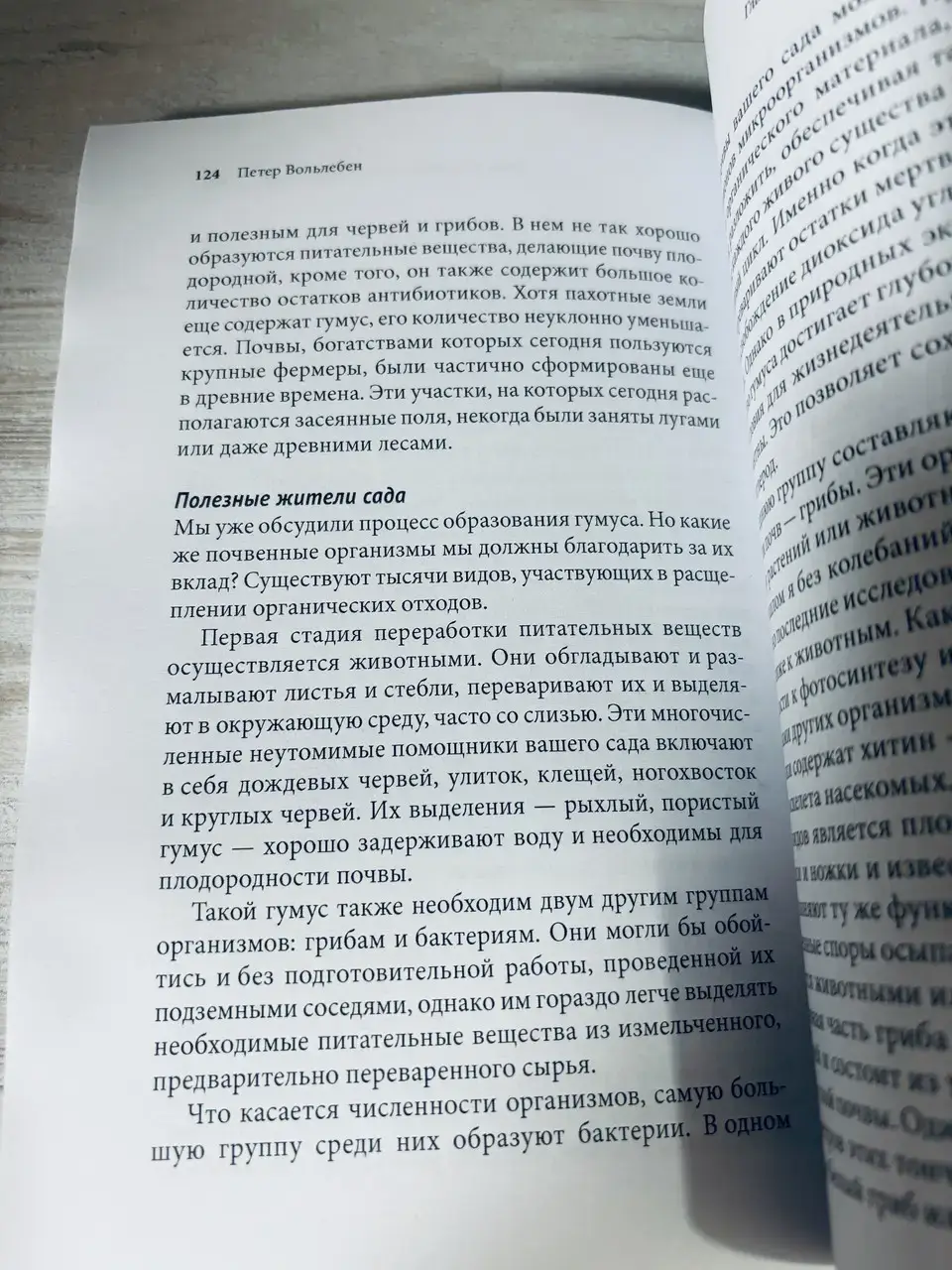 Тайные знаки природы — изображение 4