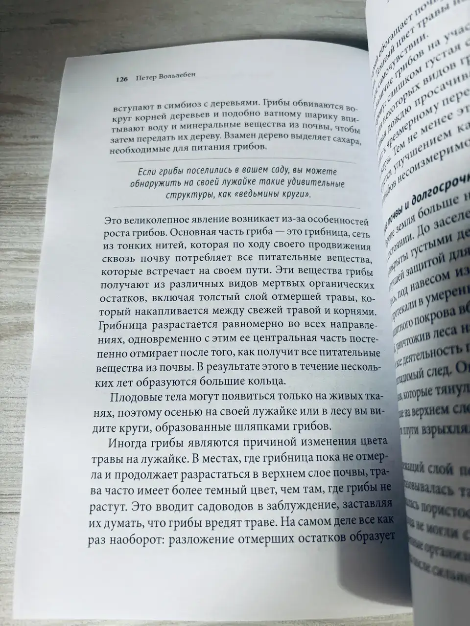 Тайные знаки природы — изображение 5