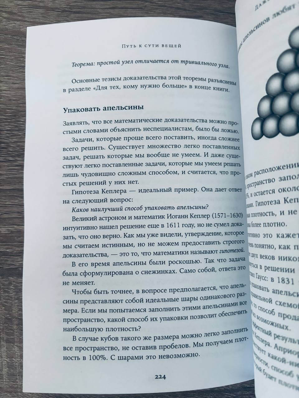 Путь к сути вещей: Как понять мир с помощью математики — изображение 7