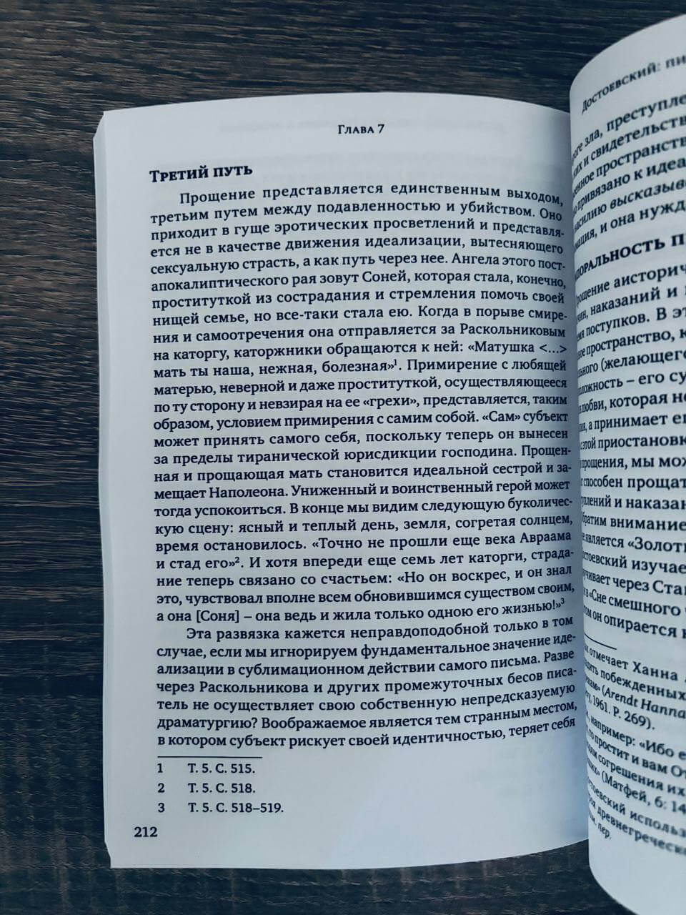 Черное солнце. Депрессия и меланхолия — изображение 8