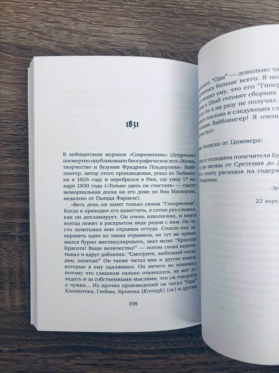 Безумие Гёльдерлина. Жизнь, поделенная надвое — изображение 4