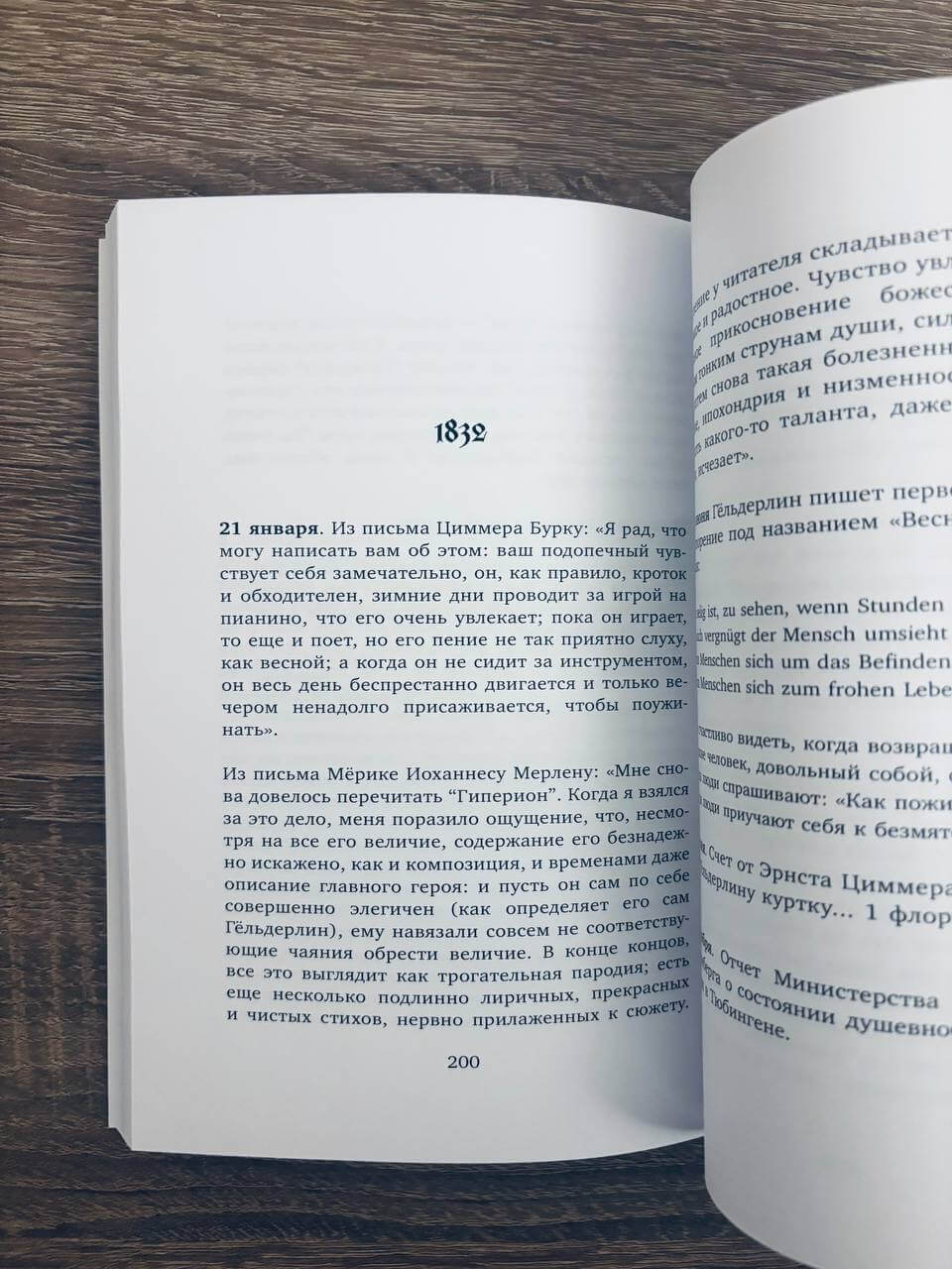 Безумие Гёльдерлина. Жизнь, поделенная надвое — изображение 5