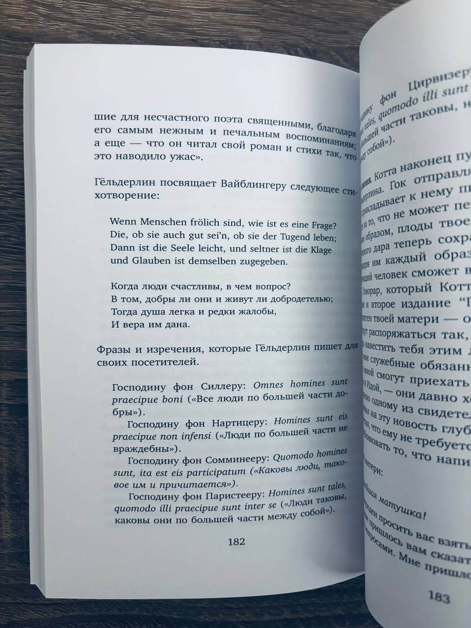 Безумие Гёльдерлина. Жизнь, поделенная надвое — изображение 7
