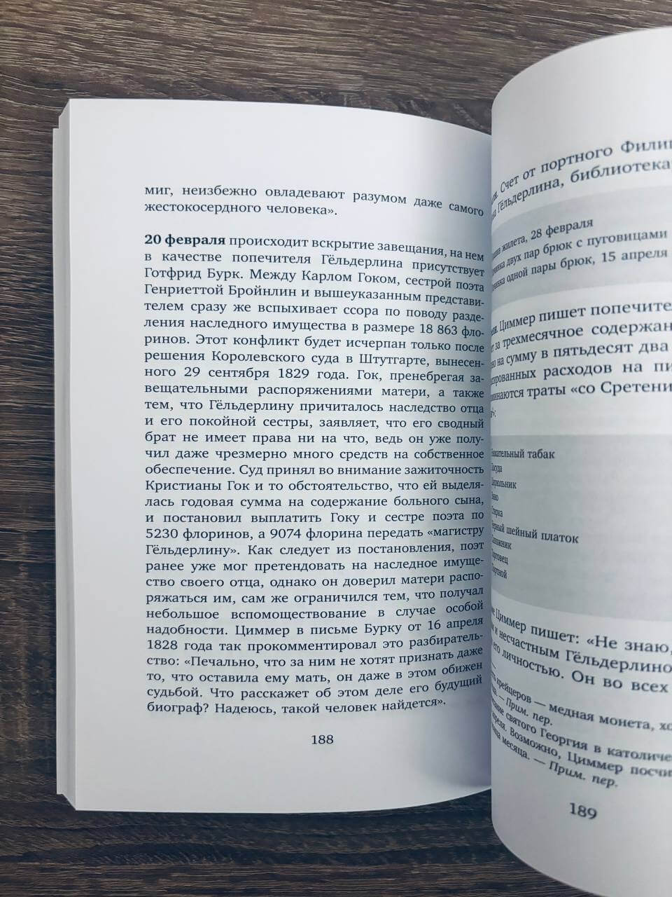 Безумие Гёльдерлина. Жизнь, поделенная надвое — изображение 8