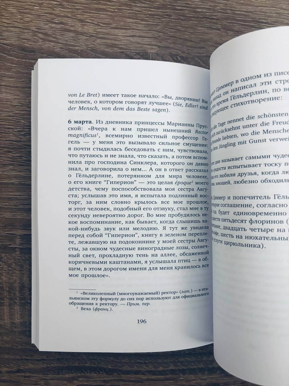 Безумие Гёльдерлина. Жизнь, поделенная надвое — изображение 9