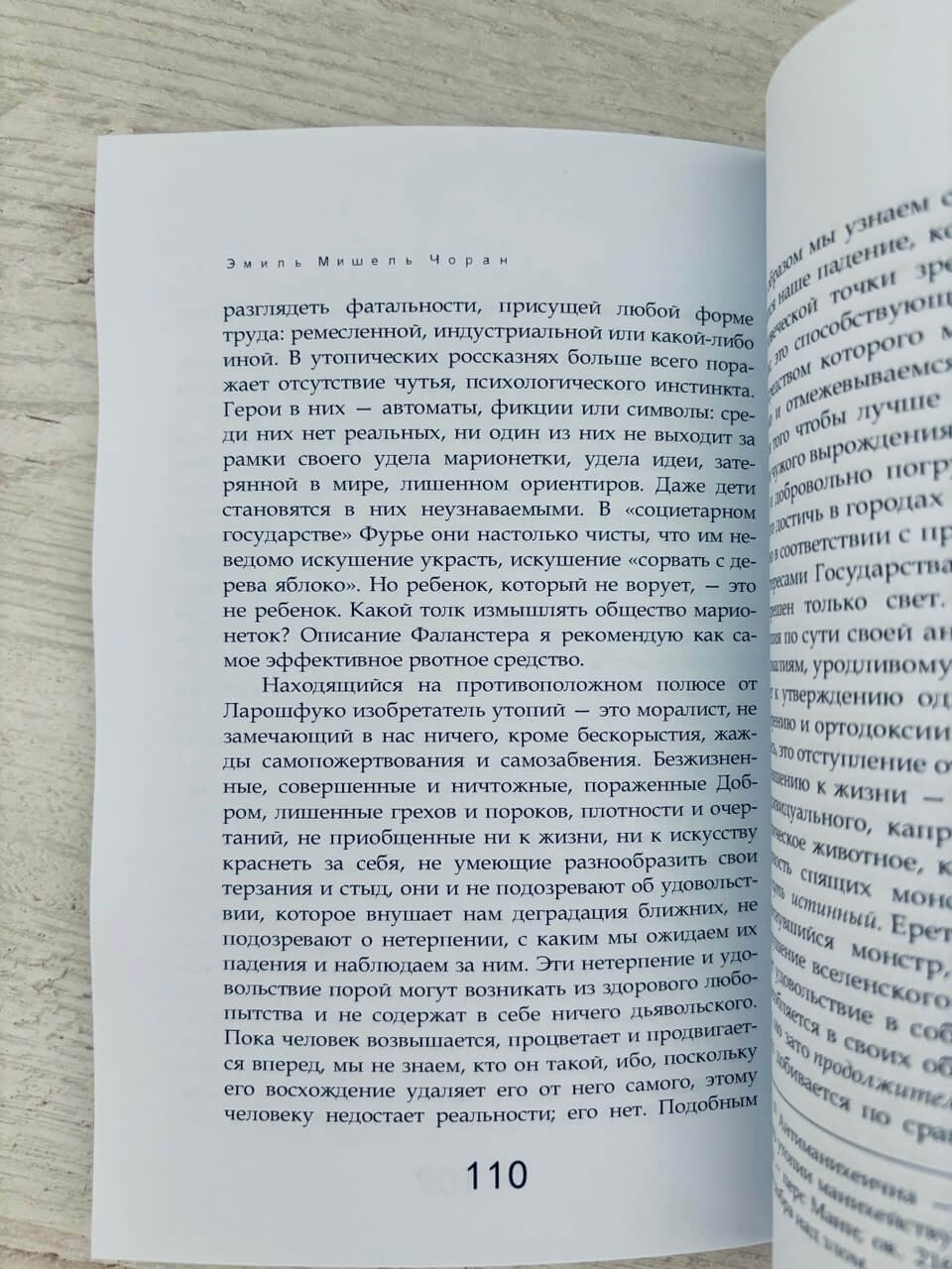 История и утопия — изображение 4