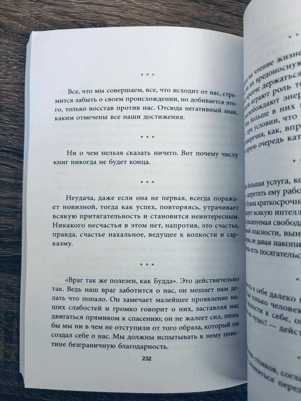 Горькие Силлогизмы — изображение 8