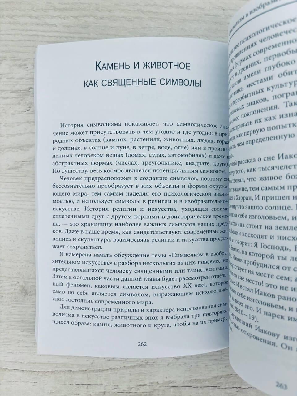 Человек и его символы — изображение 2