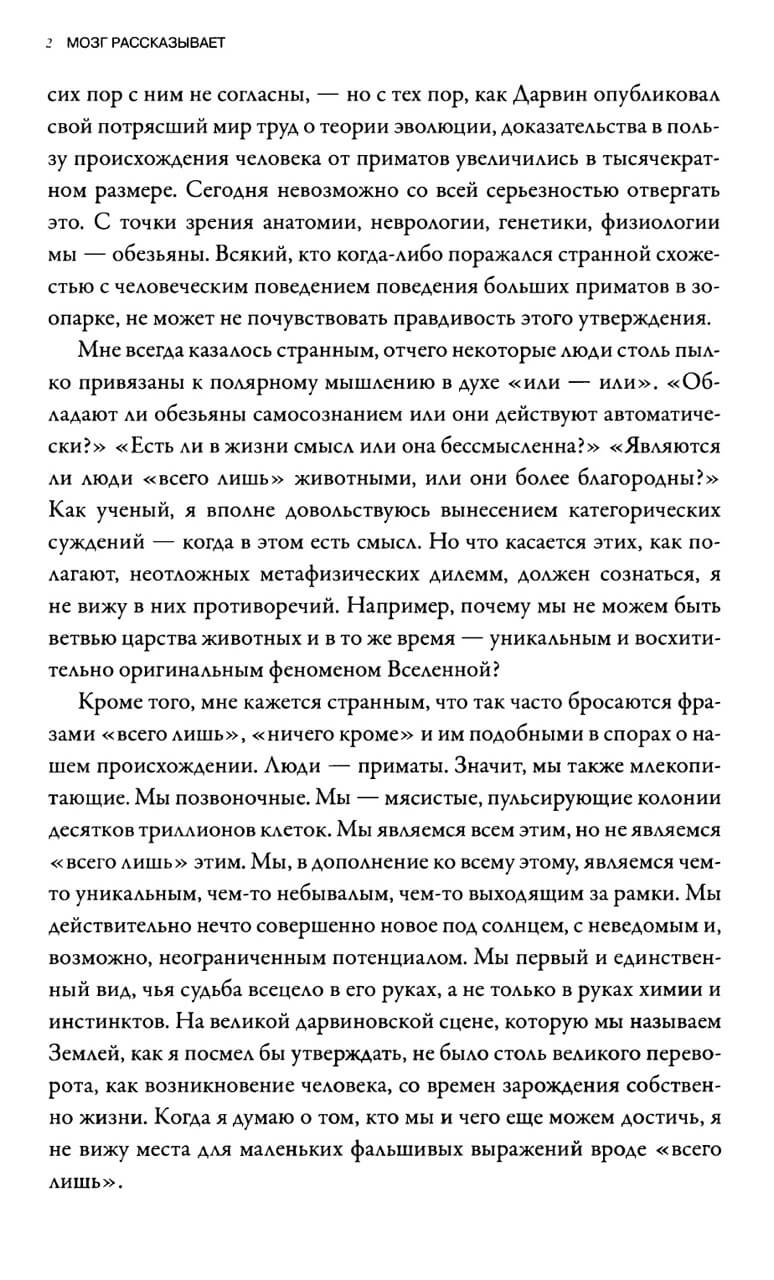 Мозг рассказывает. Что делает нас людьми — изображение 4
