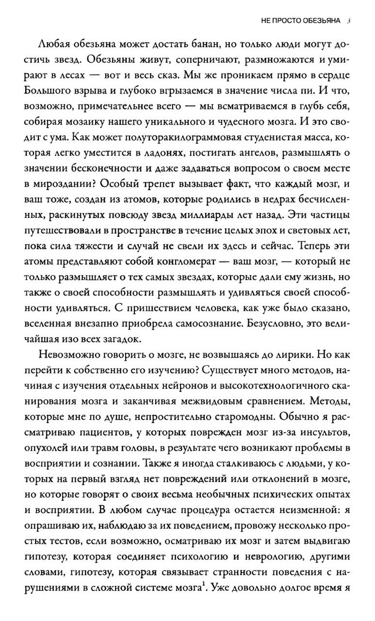 Мозг рассказывает. Что делает нас людьми — изображение 5