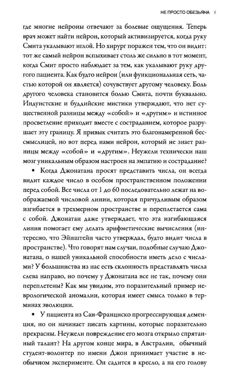 Мозг рассказывает. Что делает нас людьми — изображение 7