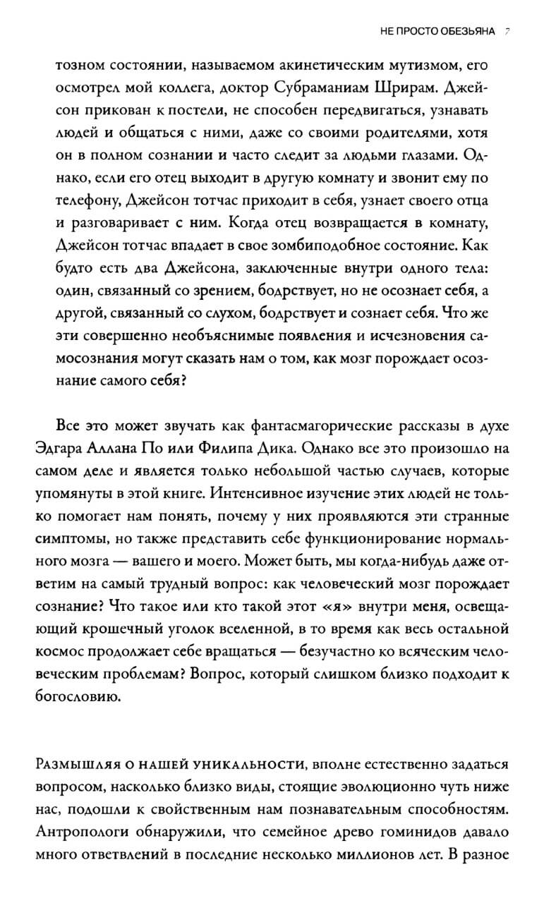 Мозг рассказывает. Что делает нас людьми — изображение 9