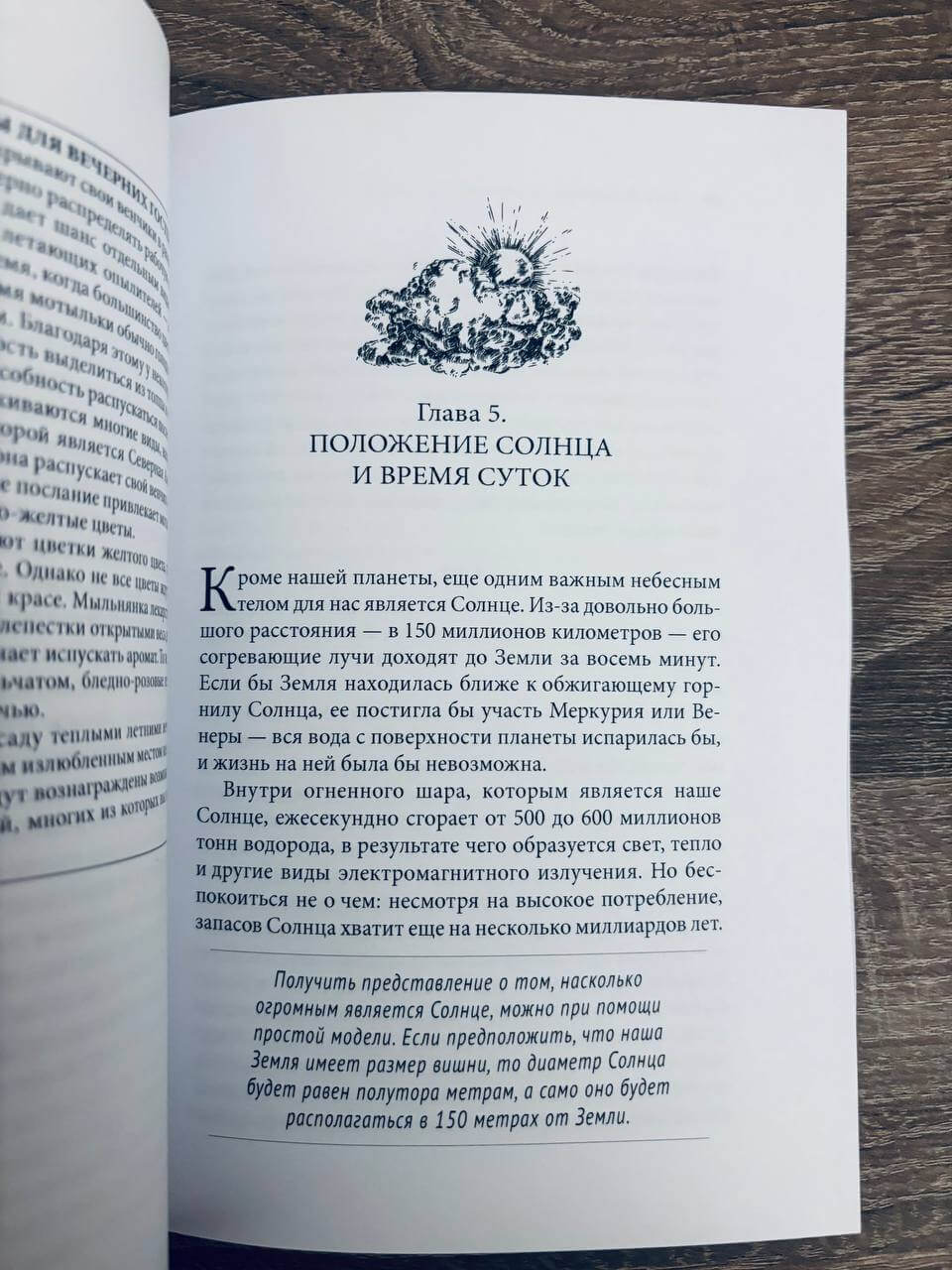 Тайные знаки природы : как стать погодным детективом и читать приметы — изображение 6