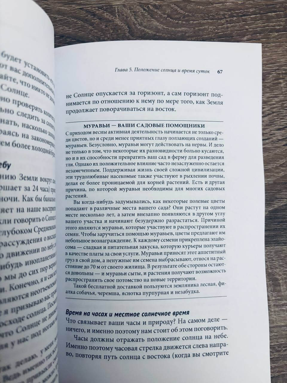 Тайные знаки природы : как стать погодным детективом и читать приметы — изображение 7