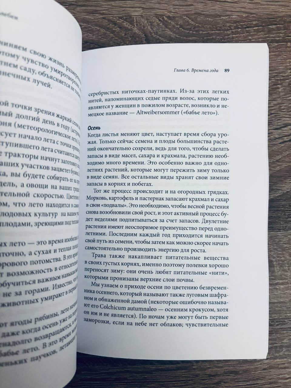 Тайные знаки природы : как стать погодным детективом и читать приметы — изображение 9