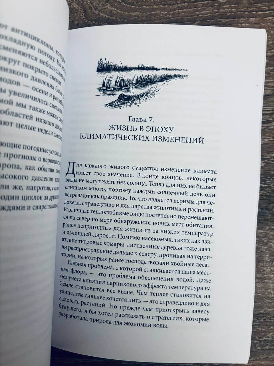 Тайные знаки природы : как стать погодным детективом и читать приметы — изображение 10