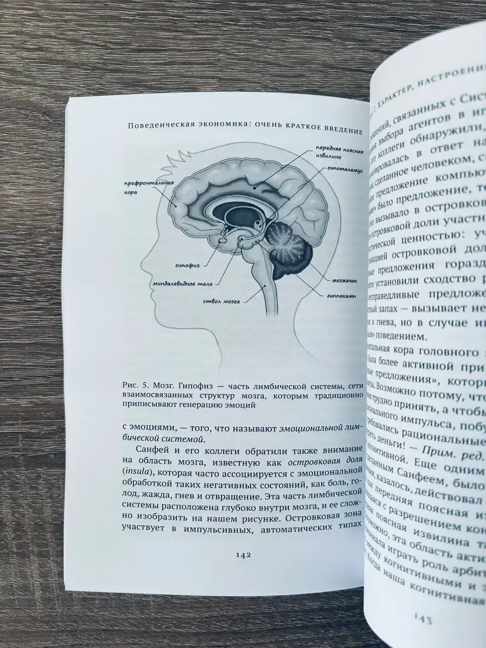 Поведенческая экономика: очень краткое введение — изображение 7